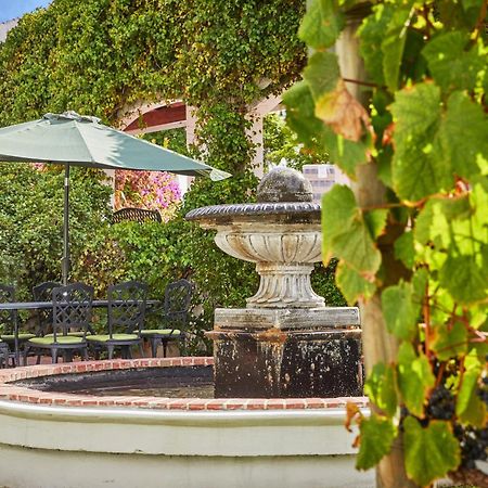 Deux Frères Luxury Villas Stellenbosch Extérieur photo