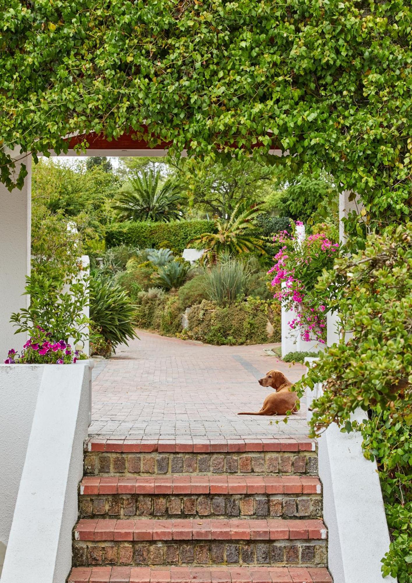 Deux Frères Luxury Villas Stellenbosch Extérieur photo